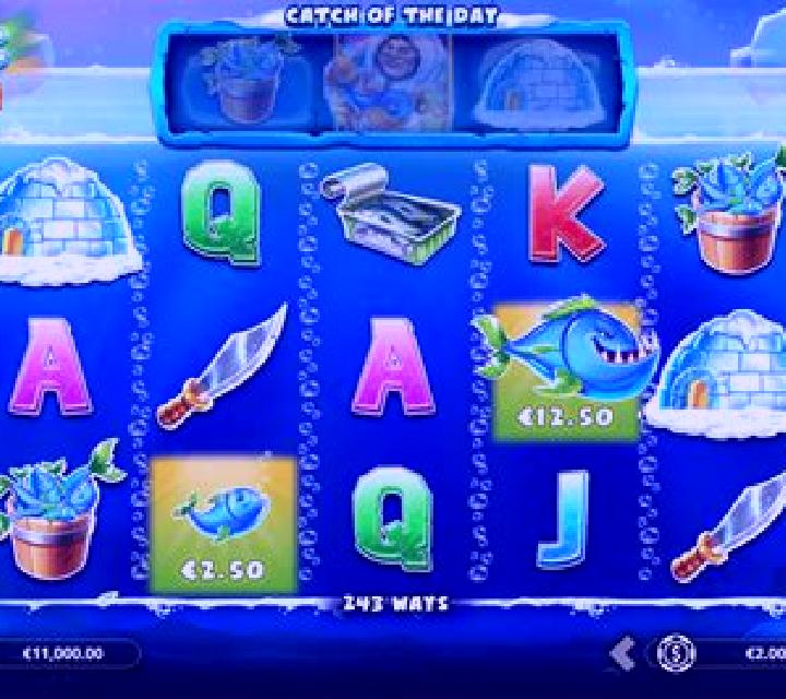 Arctic Race online slot