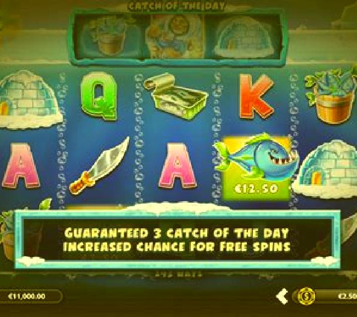 Arctic Wild slot game