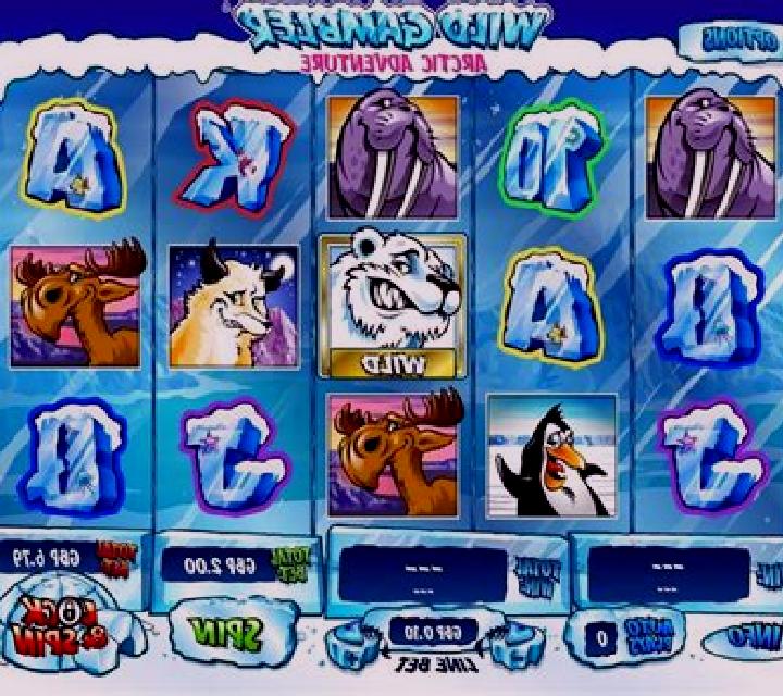 Arctic Wild slot machine