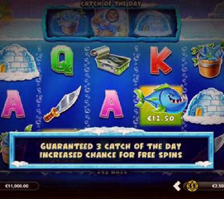 Arctic Wild slot