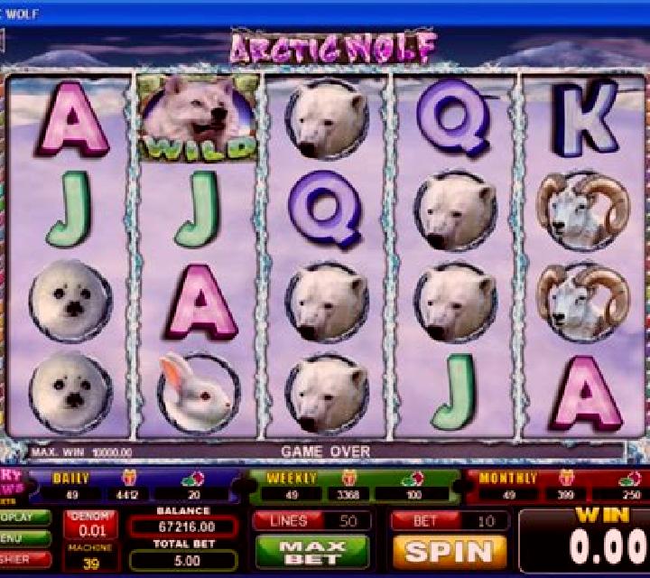 Arctic Wolf slot game