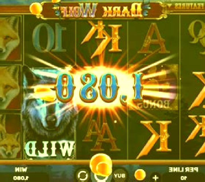 Area Link Wolf slot machine