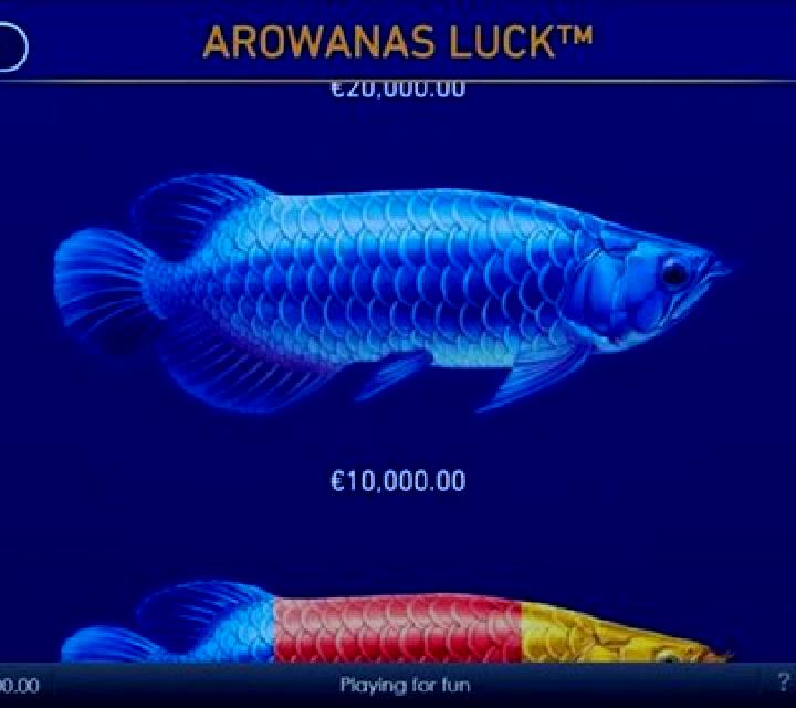 Arowanas Luck slot