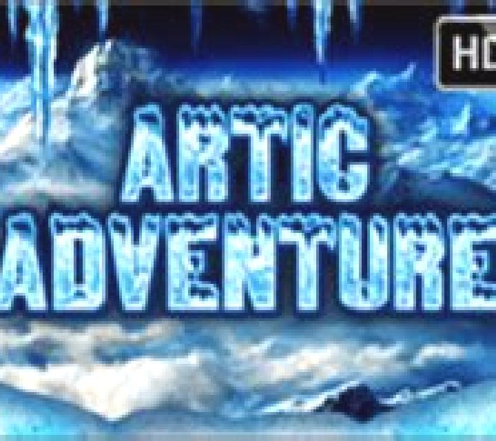 Artic Adventure HD online slot