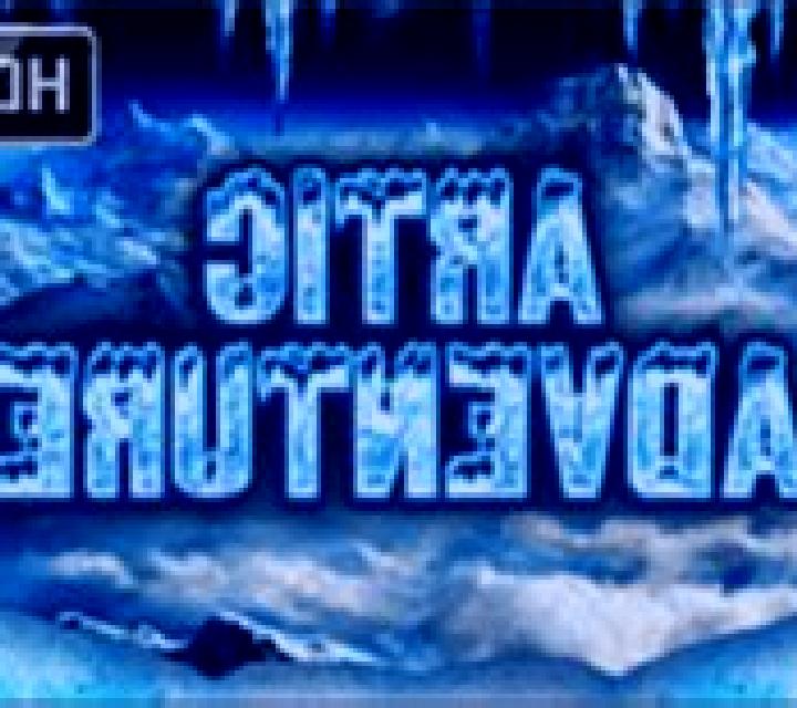 Artic Adventure HD slot game