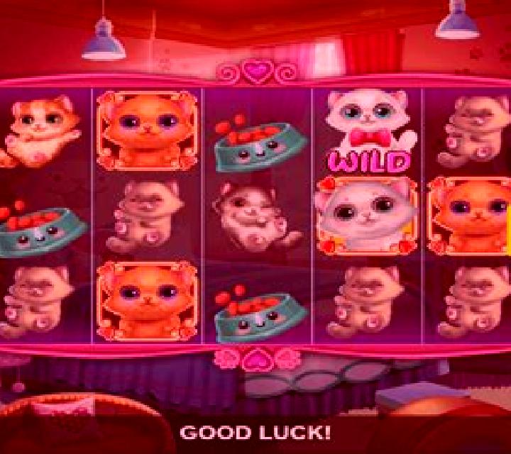 Awww, So Cute slot