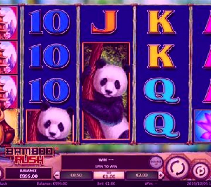 Back to the Fruits slot