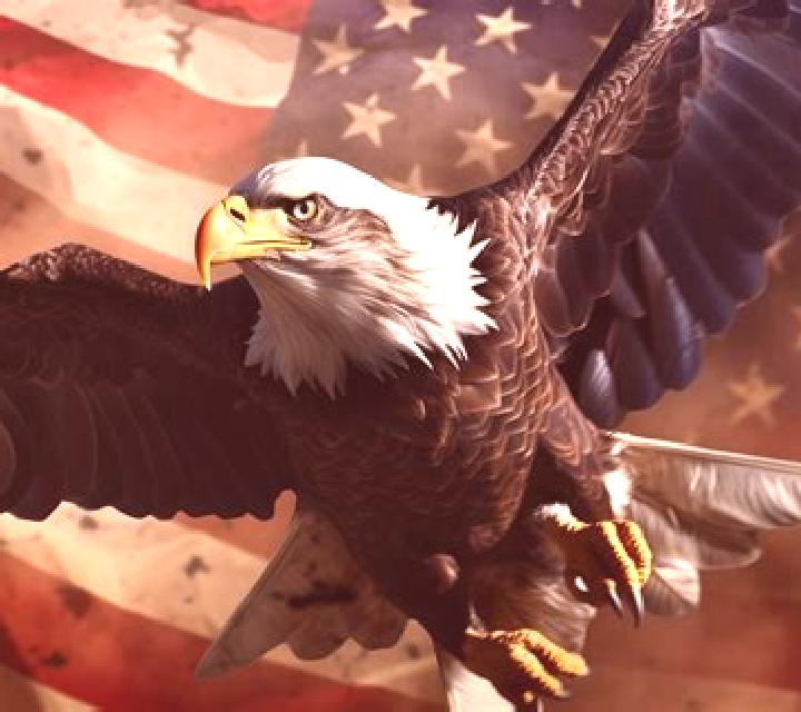 Bald Eagle online slot