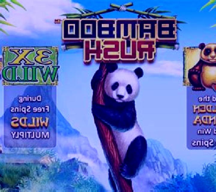 Bamboo Rush slot game