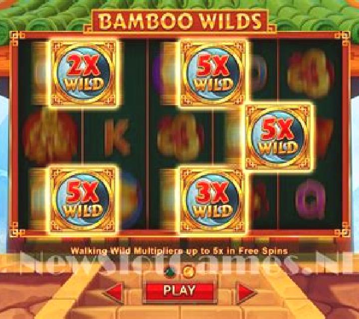 Bamboo Wilds slot game