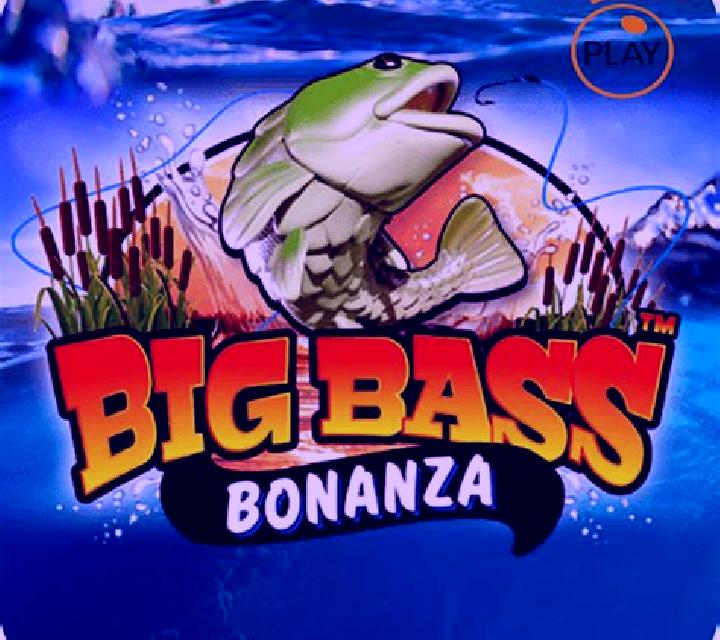 Beach Princess Bonanza slot game