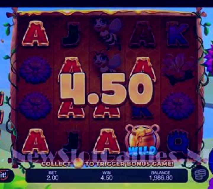 Bear Buzz slot game