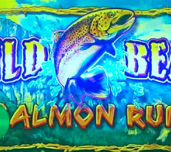 Bear Run slot machine