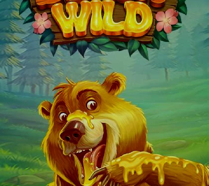 Beary Wild online slot