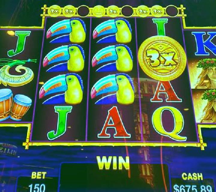 Beasts Of Fortune slot machine
