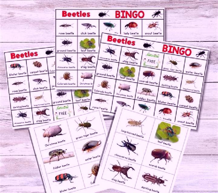 Beetle Bingo (Playtech) online slot