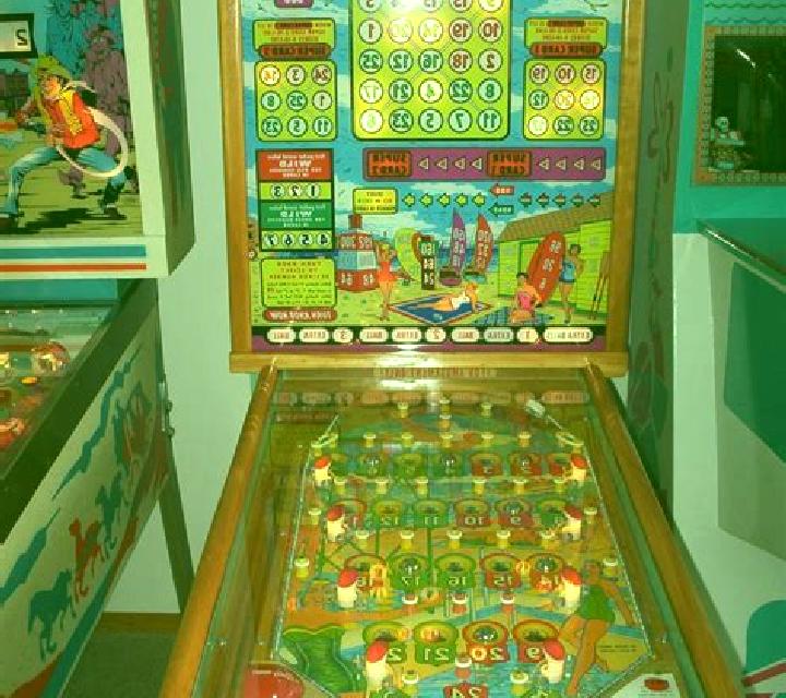 Beetle Bingo (Playtech) slot machine