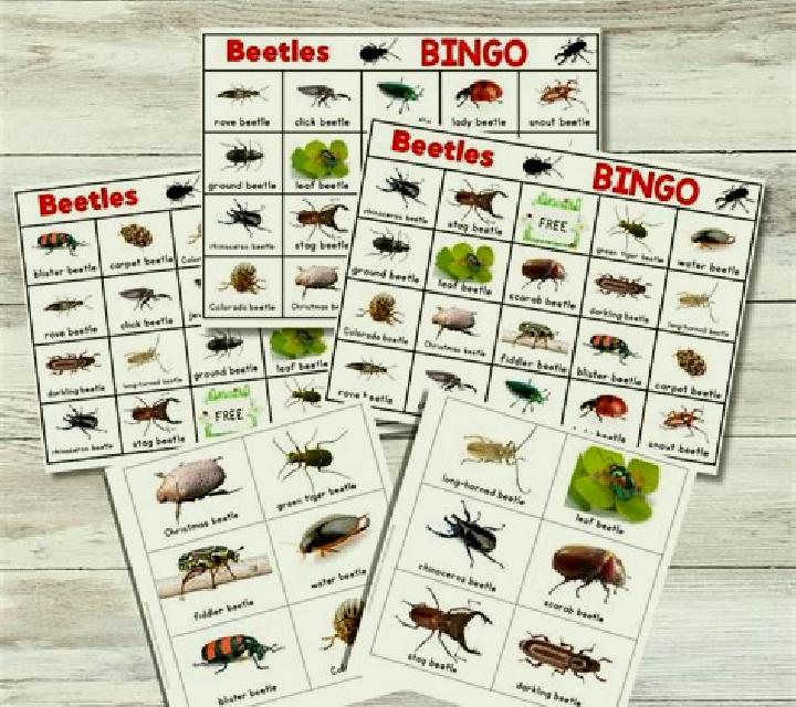 Beetle Bingo (Playtech) slot