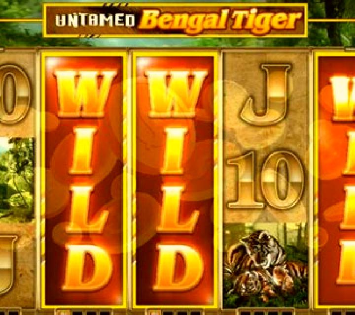 Bengal Tiger slot machine