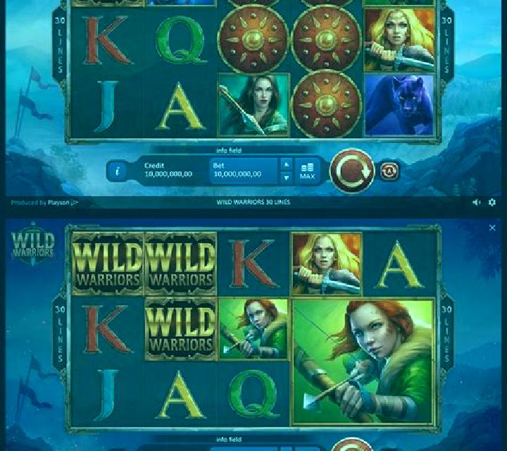 Berserkers: Odin s Warriors slot machine