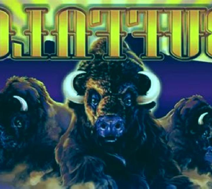 Beserkin Buffalo slot game