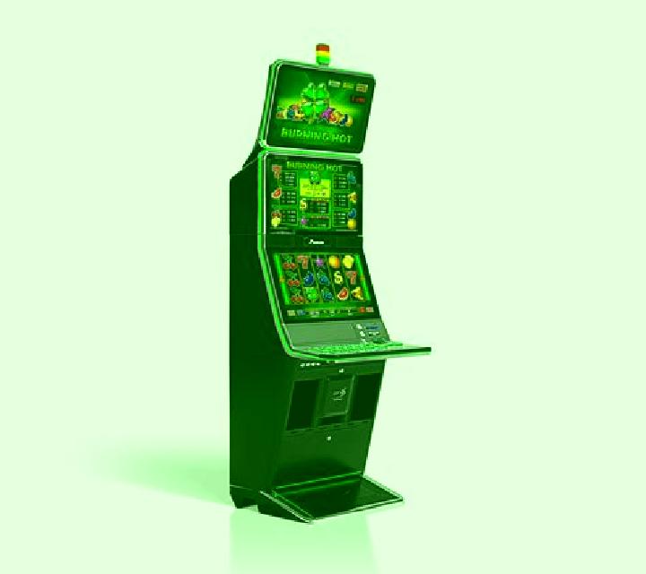 Bicho Da Sorte 25 slot machine