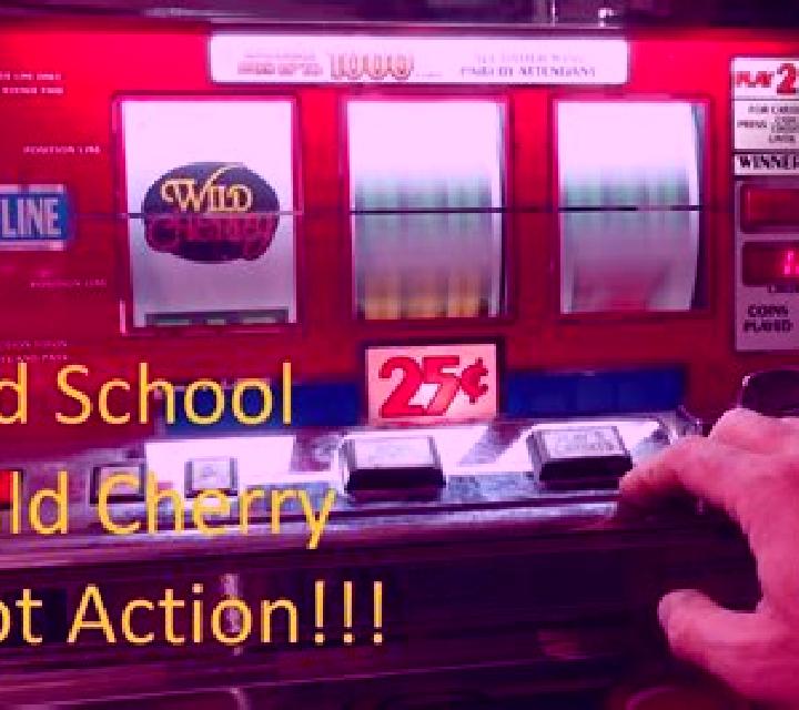 Bidding Wild slot machine