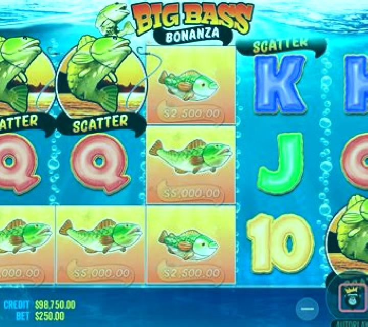 Big Bass Bingo slot game