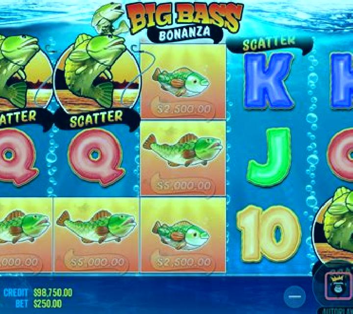 Big Bass Bounty Reels slot