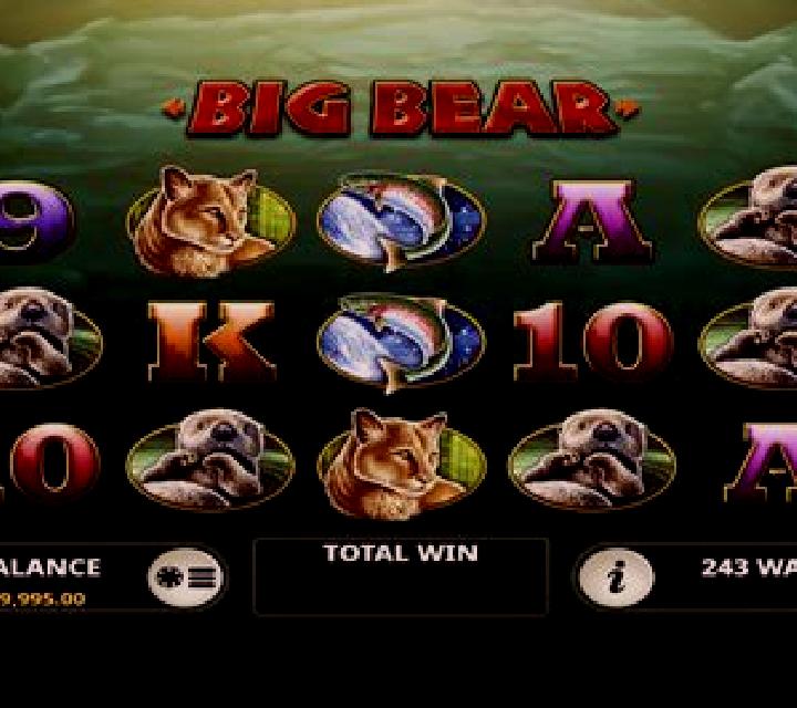 Big Bear slot game