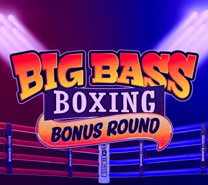 Big Box Bonus online slot