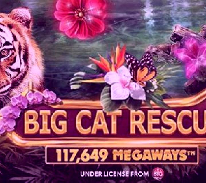Big Cat Rescue Megaways online slot