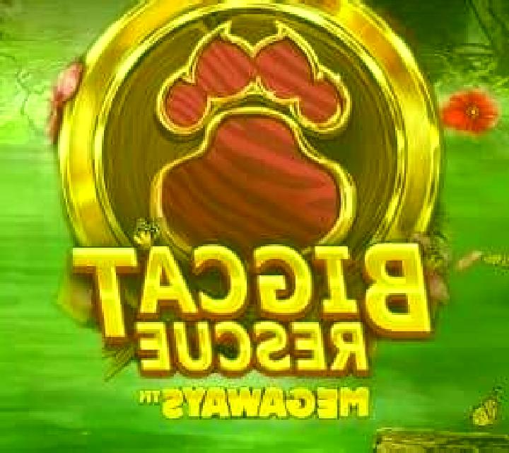 Big Cat Rescue Megaways slot game
