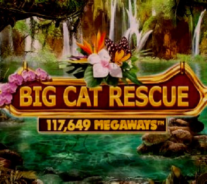 Big Cat Rescue Megaways slot