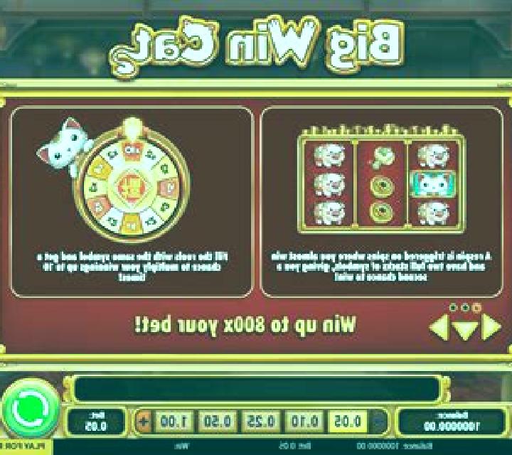 Big Cat slot