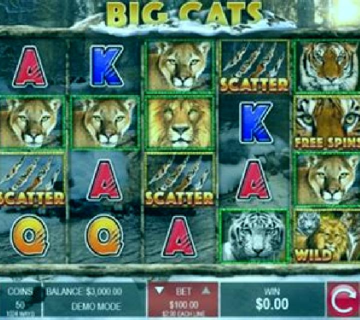 Big Cats online slot
