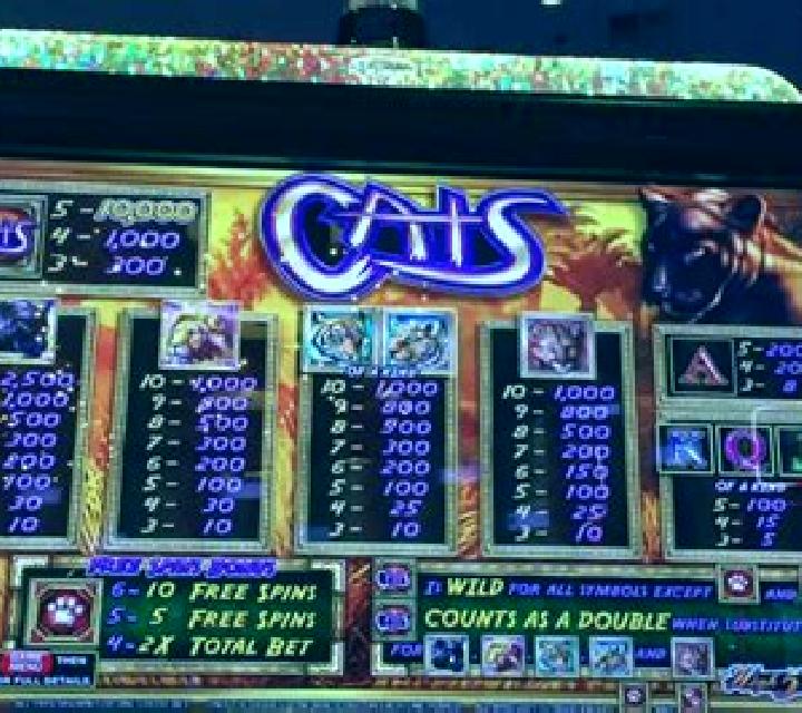 Big Cats slot machine