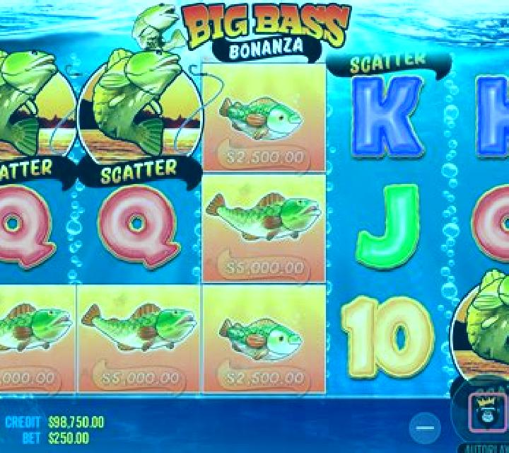 Big Duck Bonanza slot game