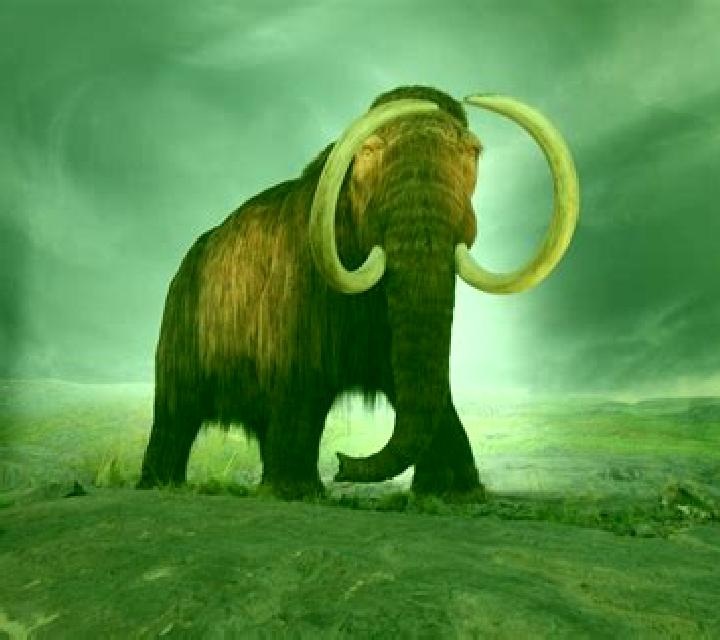 Big Mammoths online slot