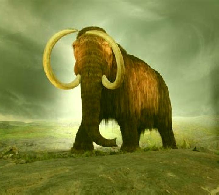 Big Mammoths slot game
