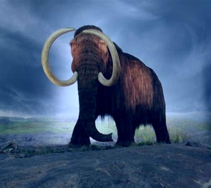 Big Mammoths slot machine
