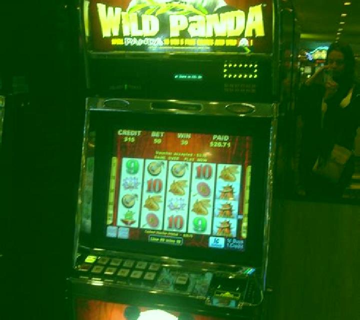 Big Panda slot machine