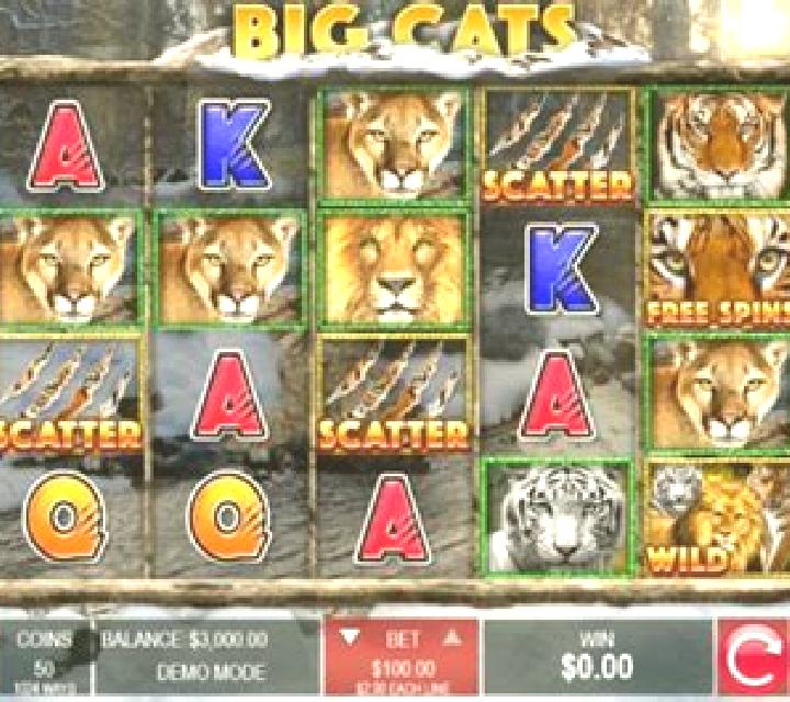 Big Wild Cats online slot