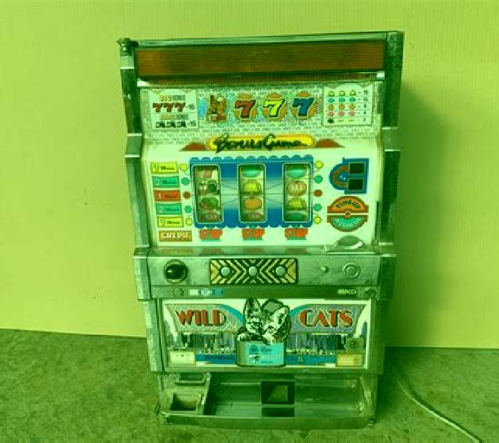 Big Wild Cats slot machine