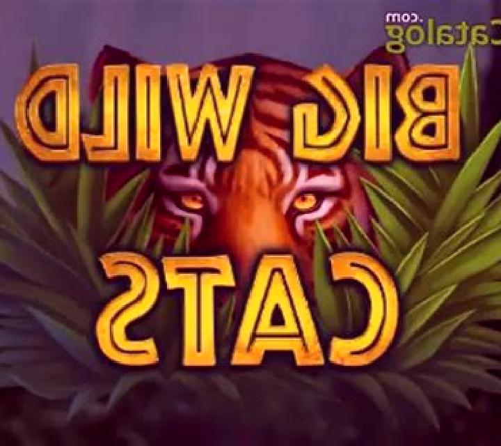 Big Wild Cats slot