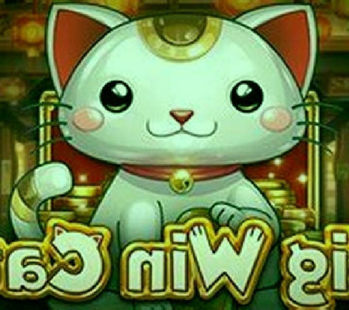 Big Win Cat online slot