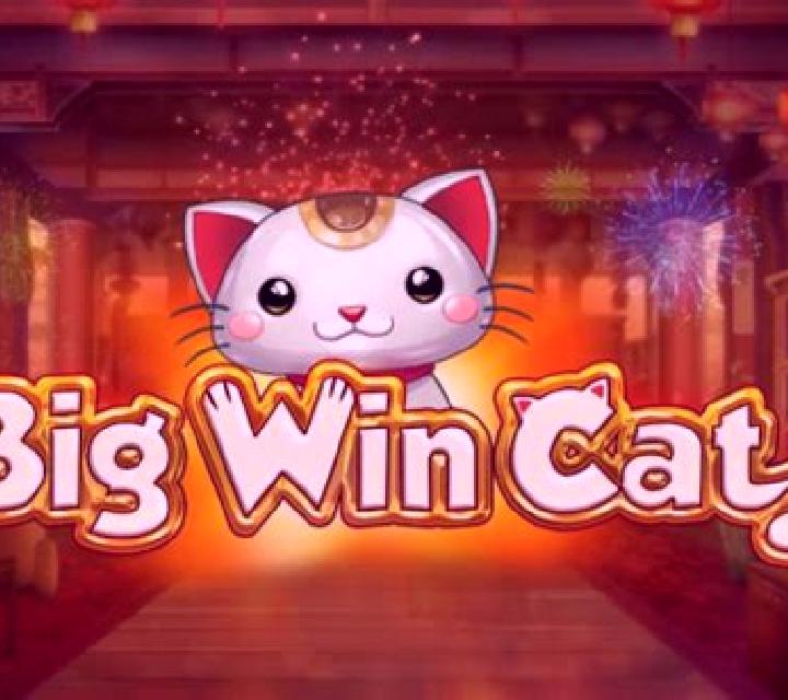 Big Win Cat slot game