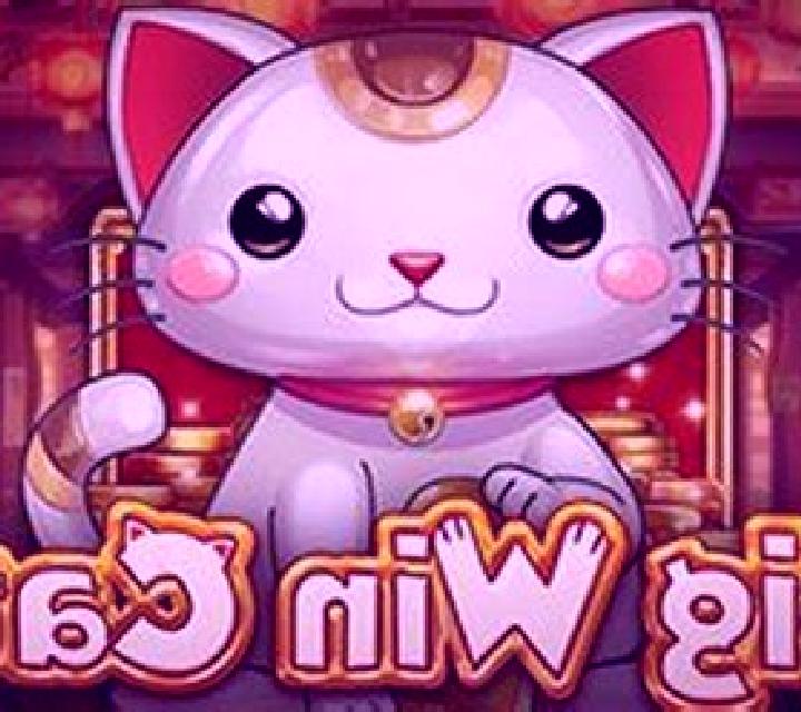 Big Win Cat slot machine