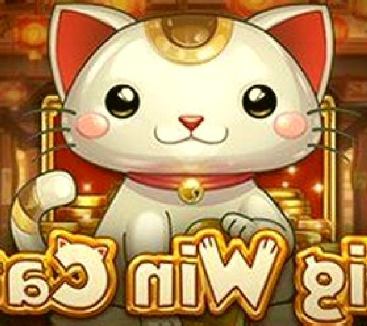 Big Win Cat slot
