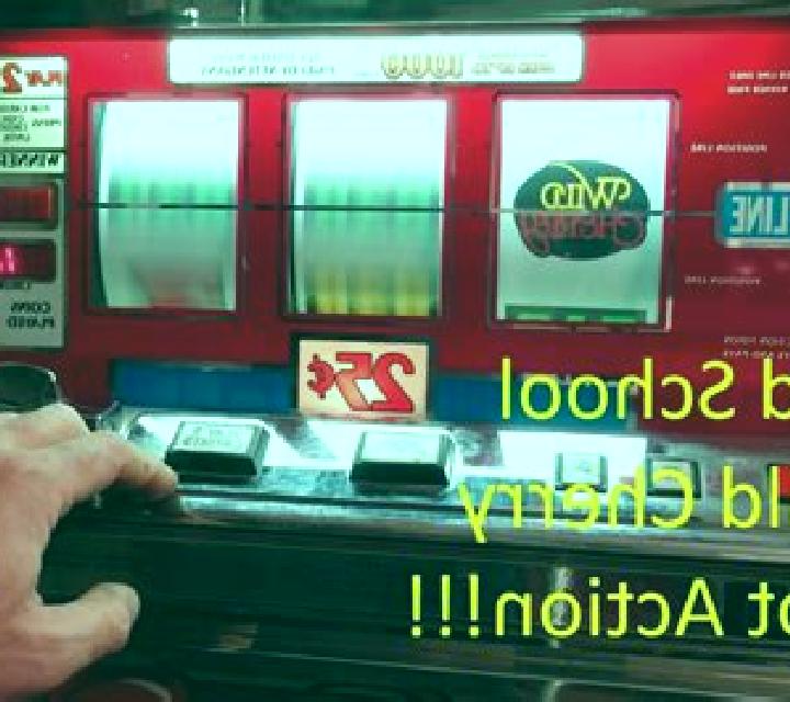 Bikini Chaser slot machine